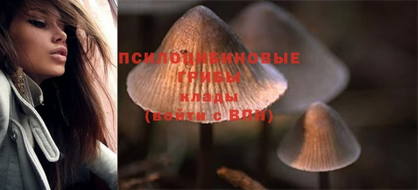 прущая мука Абаза