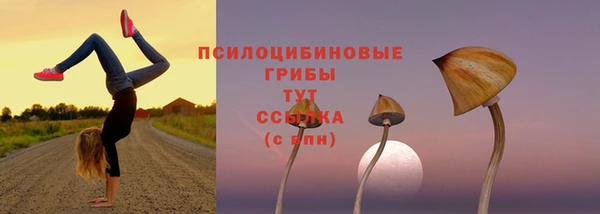 дмт Абдулино