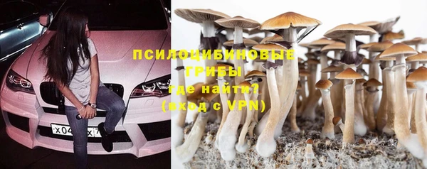 дмт Абдулино