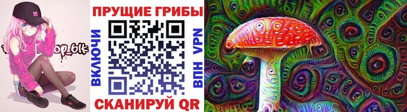 наркотики  Сольцы  Псилоцибиновые грибы Cubensis 